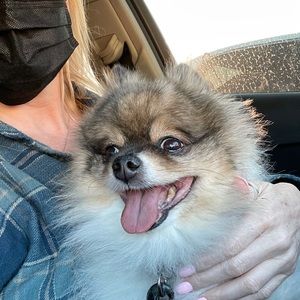 Meet your Posher, Kathleen